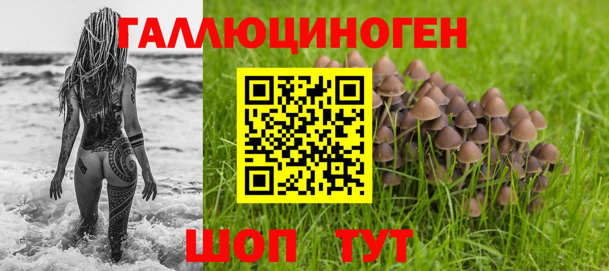 Галлюциногенные грибы мицелий  Вход с VPN  где купить   Людиново 